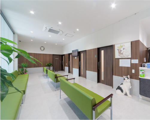 猫待合室