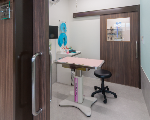 猫・エキゾチック診察室