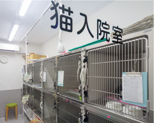 猫入院室