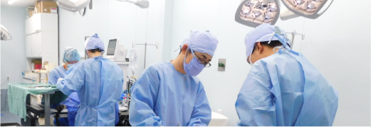 診察・手術案内