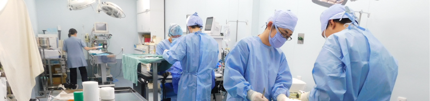 診察・手術案内