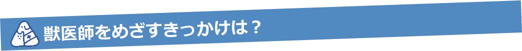 獣医師をめざすきっかけは？