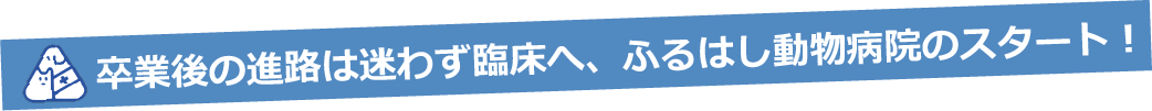 卒業後の進路は迷わず臨床へ、ふるはし動物病院のスタート！