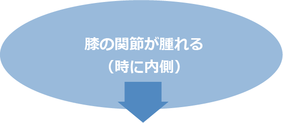 膝の関節が腫れる（時に内側）