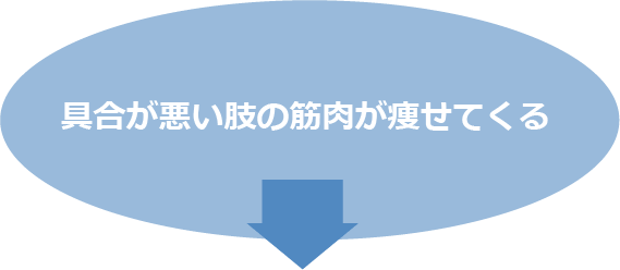 具合が悪い肢の筋肉が痩せてくる