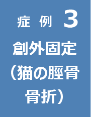 症例3　創外固定（猫の脛骨骨折）