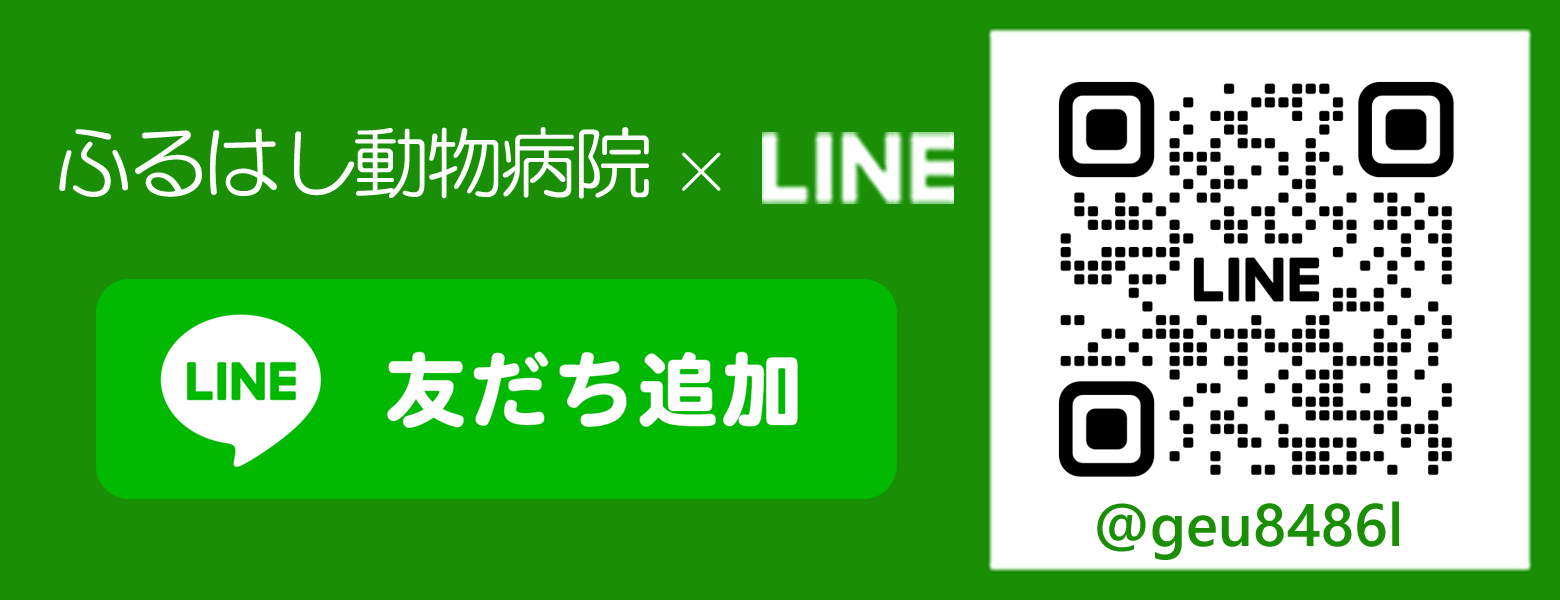 LINE