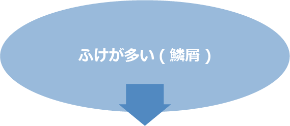 ふけが多い(鱗屑)