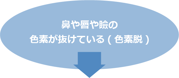 鼻や唇や瞼の色素が抜けている(色素脱)