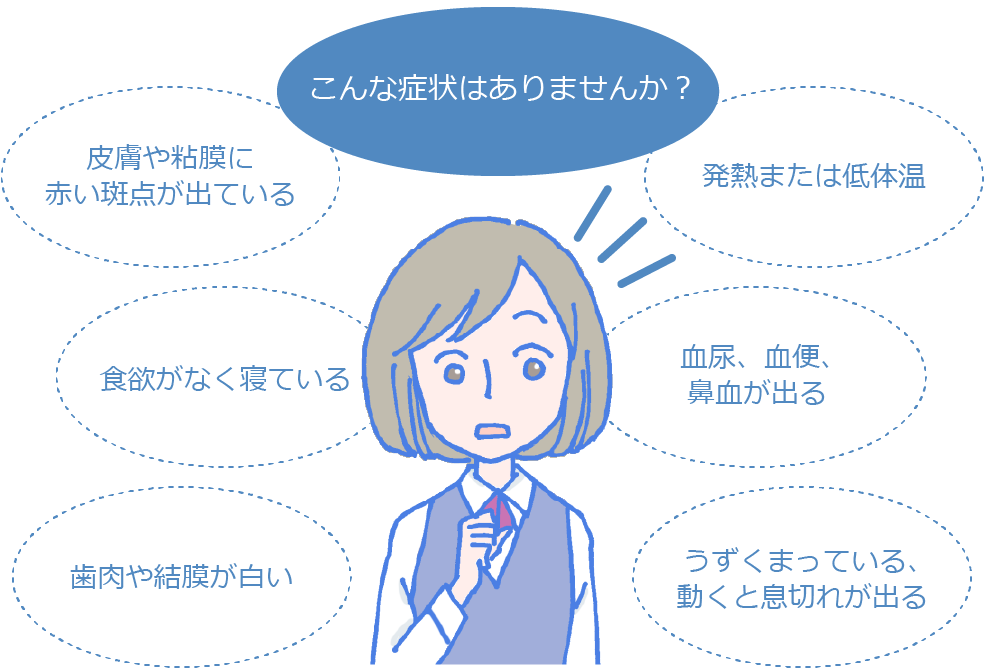 こんな症状はありませんか？