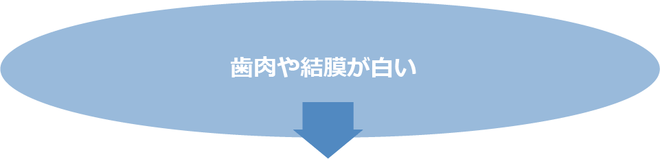 歯肉や結膜が白い