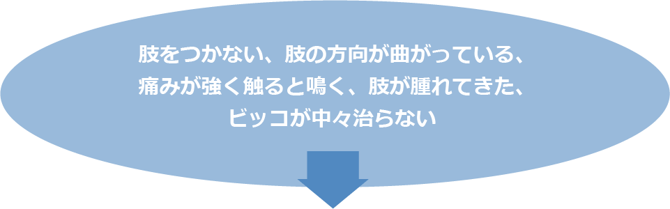 肢をつかない、肢の方向が曲がっている、痛みが強く触ると鳴く、肢が腫れてきた、ビッコが中々治らない