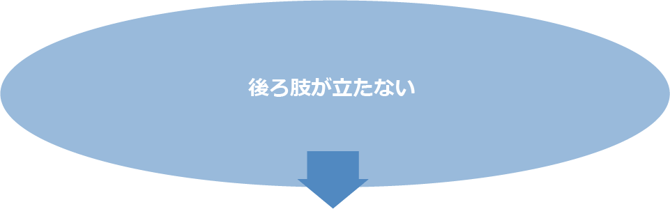 後ろ肢が立たない