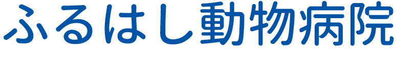 ふるはし動物病院