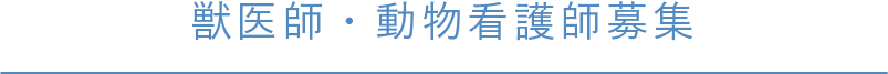 獣医師・動物看護師募集