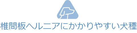 椎間板へルニアにかかりやすい犬種